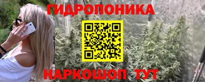 не бодяженный Лесосибирск