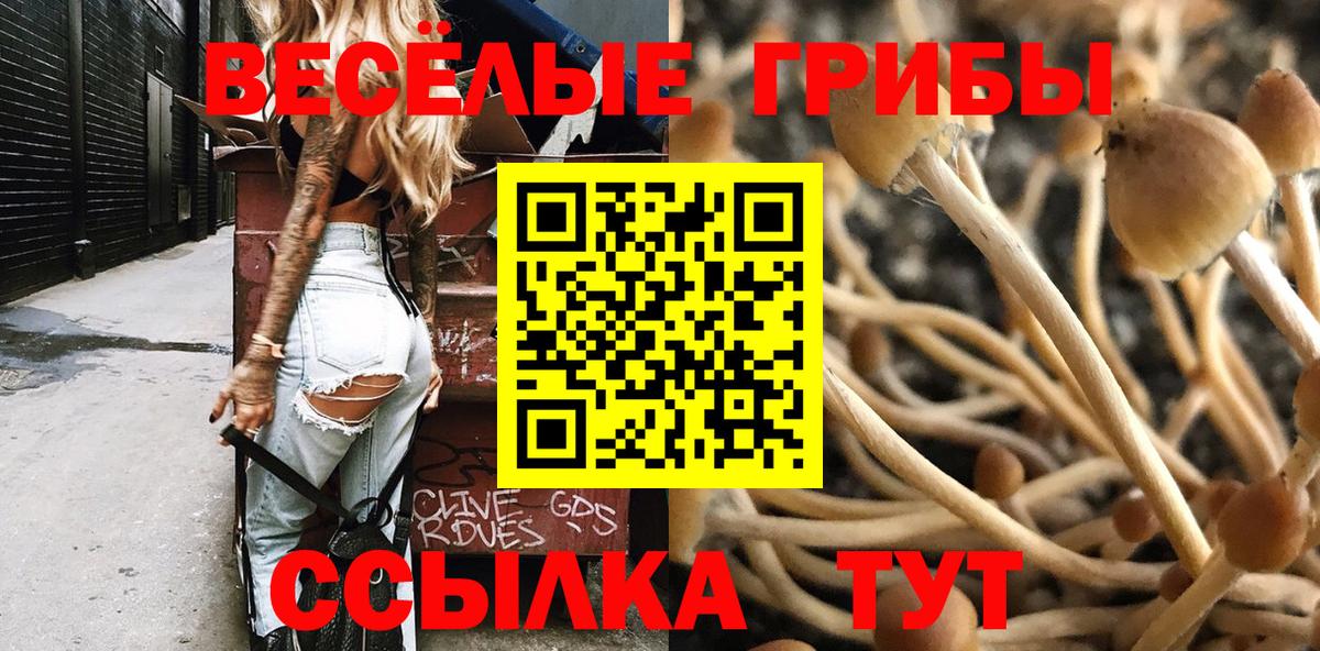 Галлюциногенные грибы ЛСД  Вход с VPN  Галлюциногенные грибы GOLDEN TEACHER  Видное 