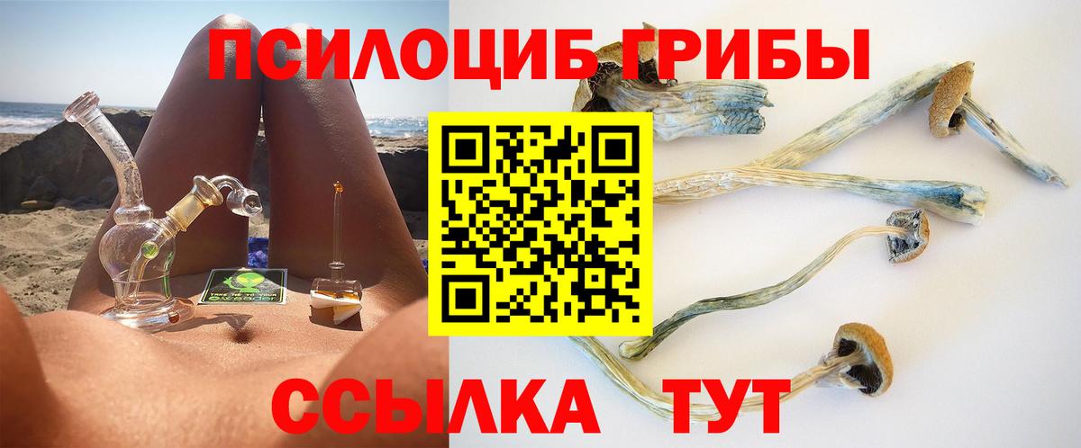Псилоцибиновые грибы GOLDEN TEACHER Видное
